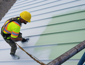 roof expert