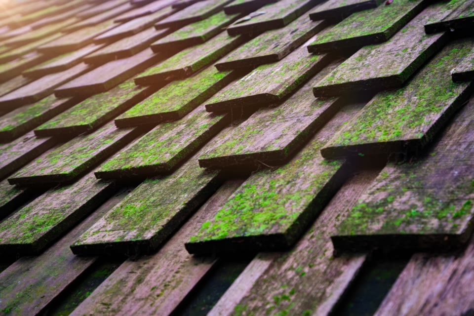 How To Prevent Moss Growth On A Roof